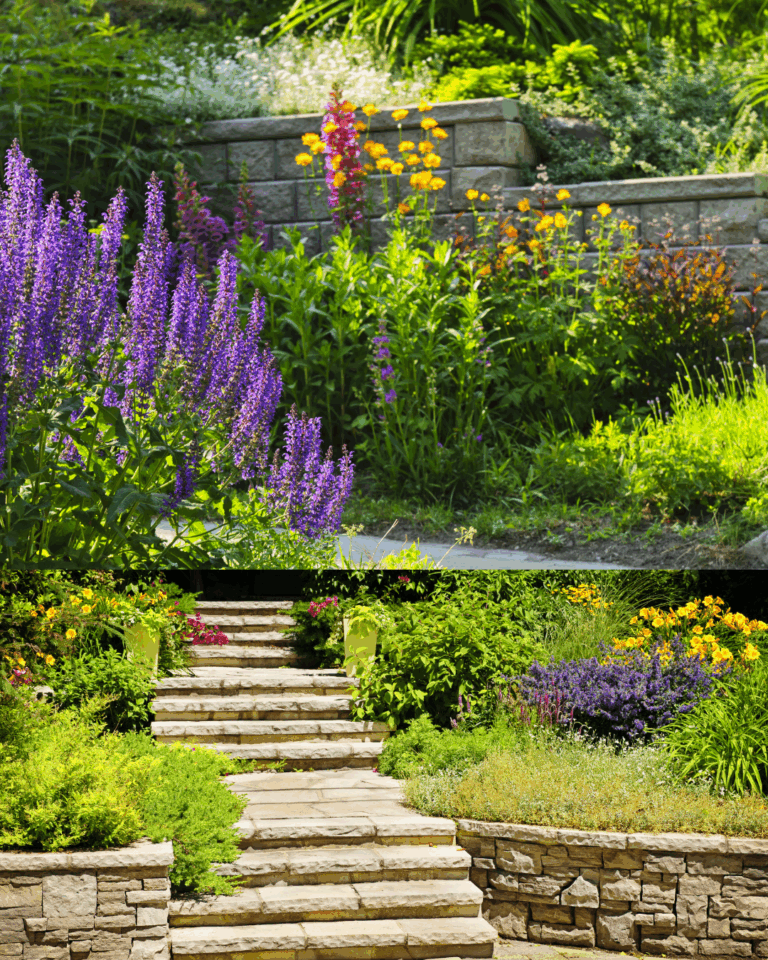Jak stworzyć ogród, który cieszy przez cały rok? Praktyczny poradnik dla każdego