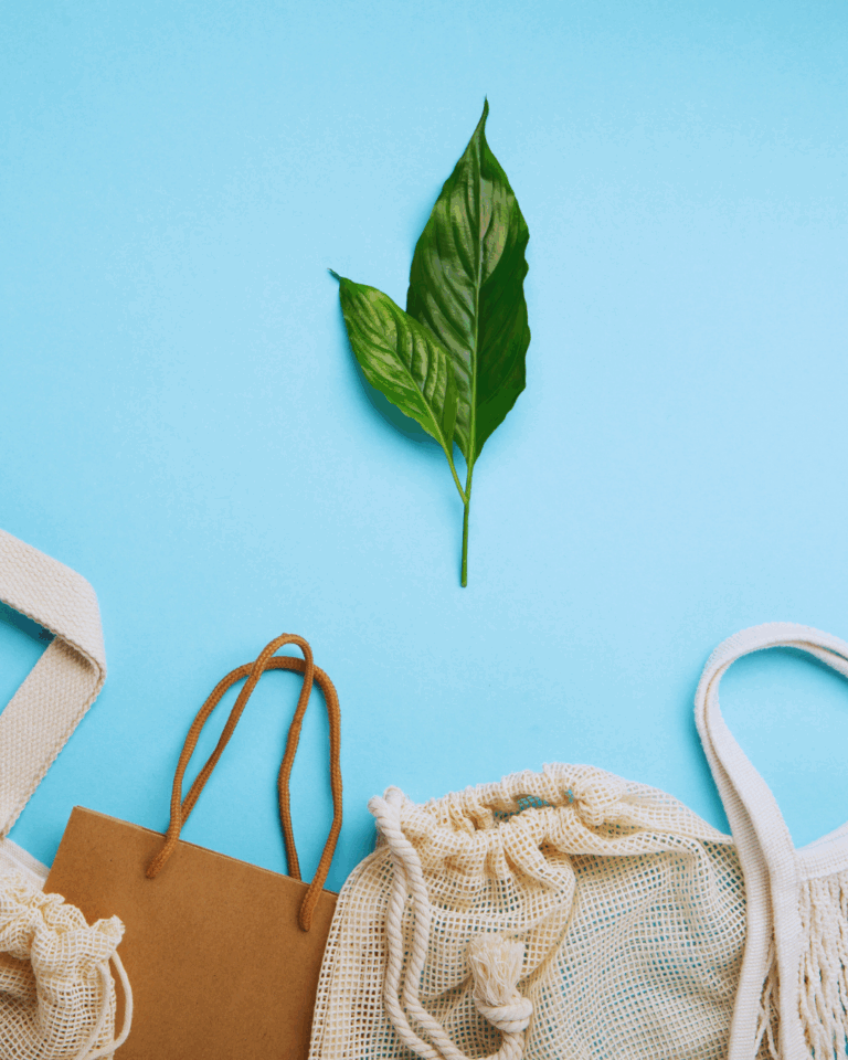 Dom bez plastiku – od czego zacząć krok po kroku?