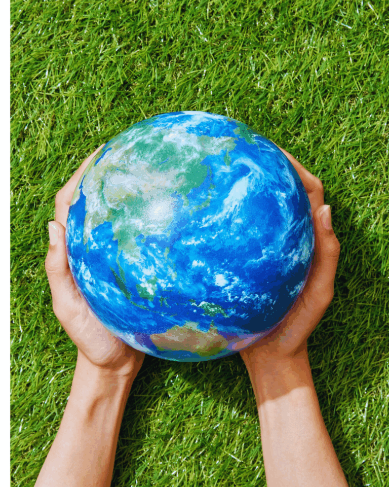 Dlaczego ekologia jest taka ważna? Praktyczny przewodnik dla każdego