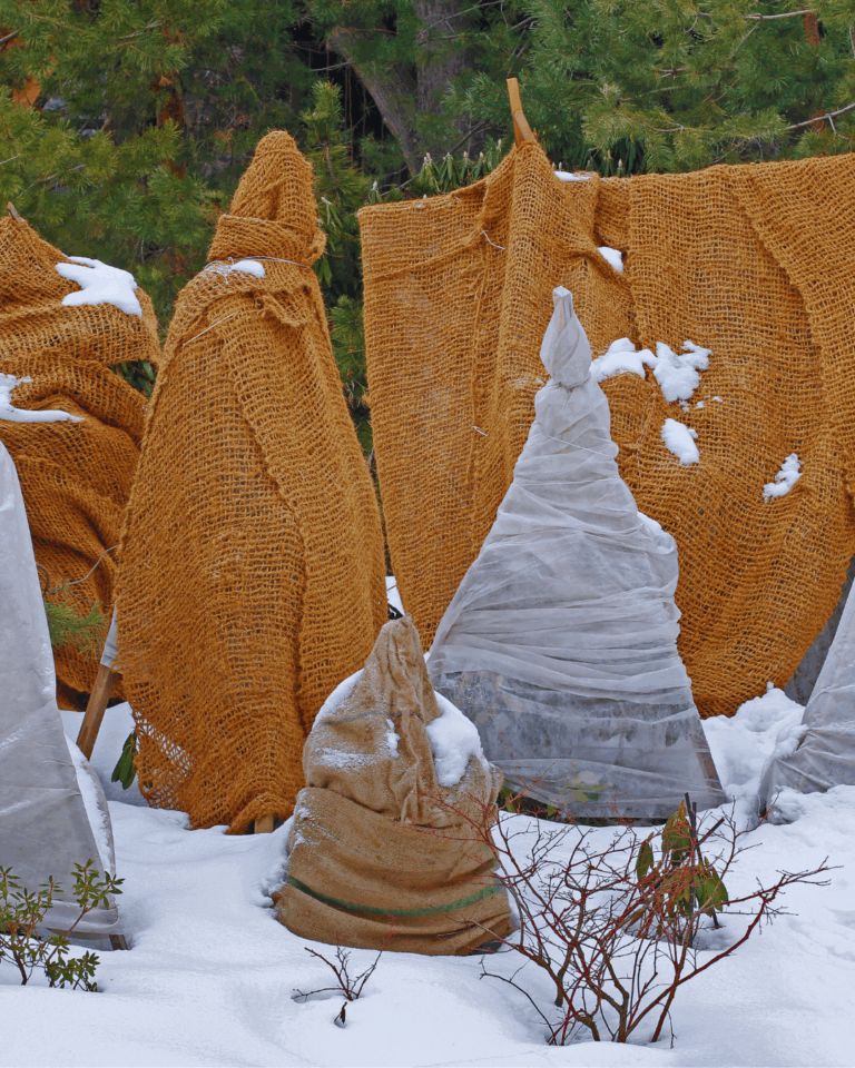 Ogród jesienią – jak dbać, by wiosną zachwycał?