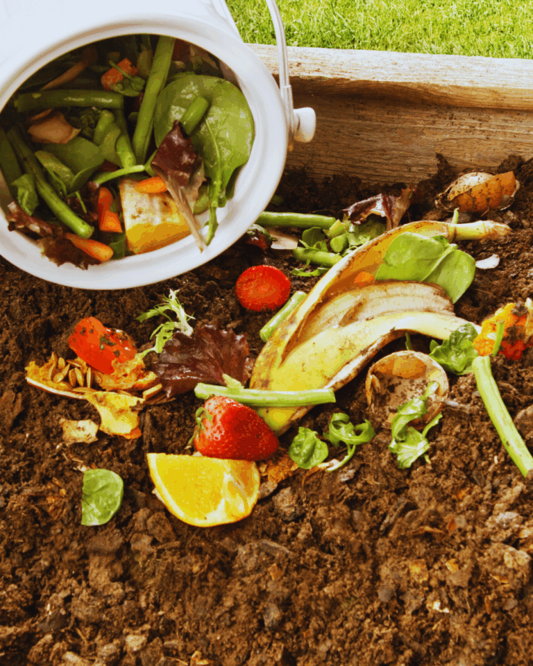 Jak zrobić kompost w ogrodzie krok po kroku – domowy kompostownik dla początkujących