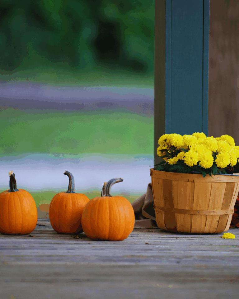 Jesienne dekoracje DIY z tego, co masz w domu – pomysły tanie, eko i piękne 🍂